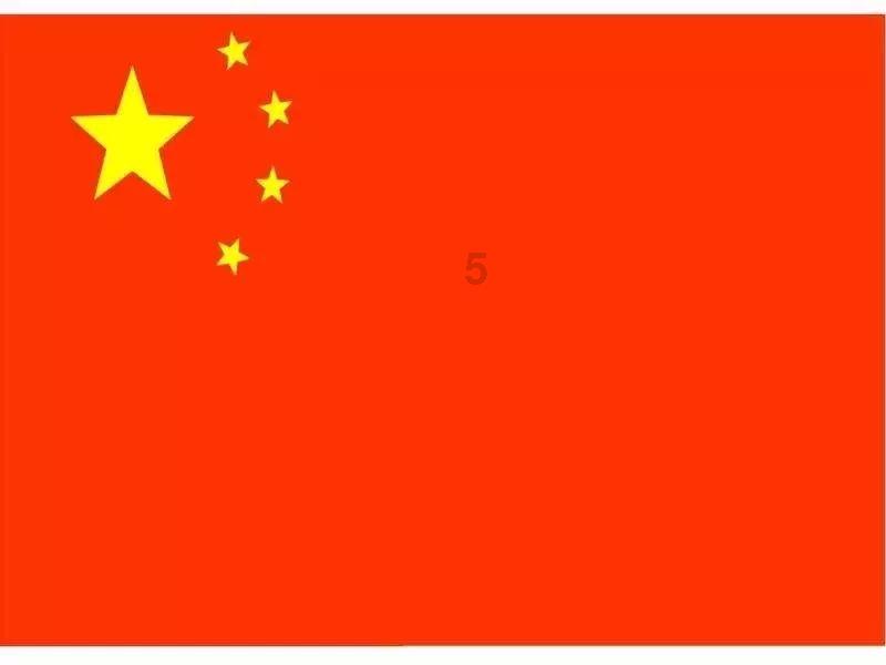 疯狂的小猫